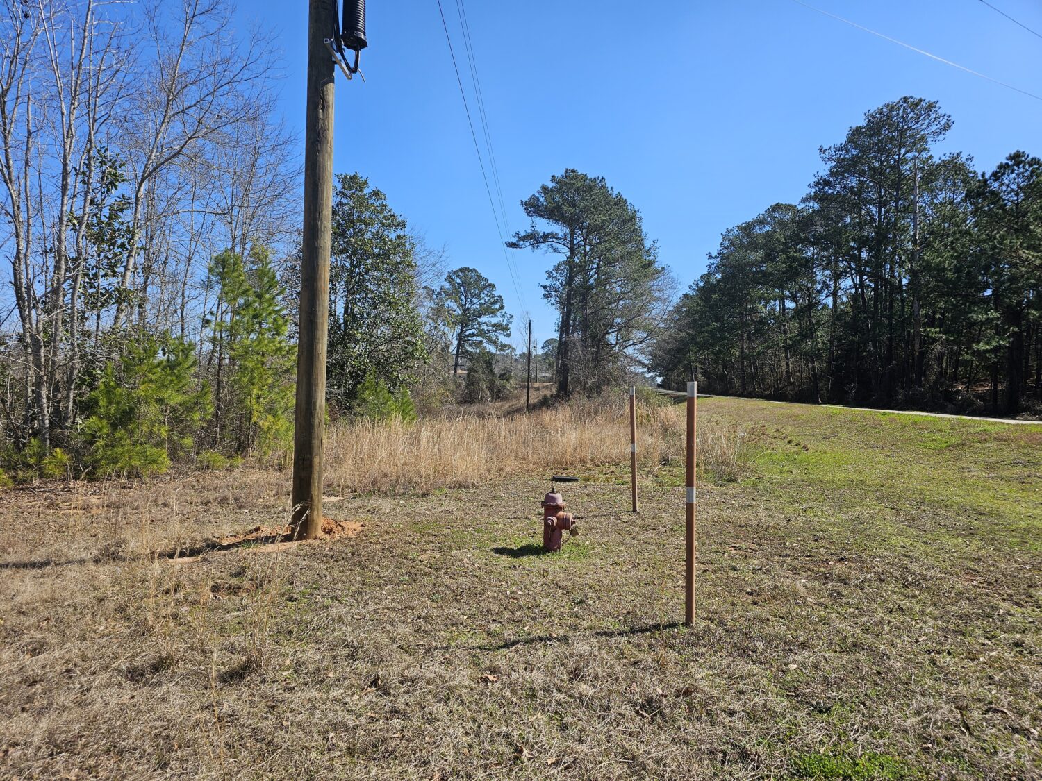 The Ariton Home Place Connell Landing Realty