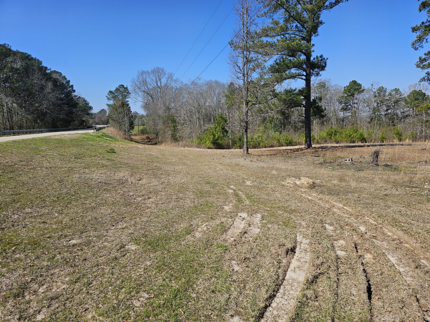 The Ariton Home Place Connell Landing Realty