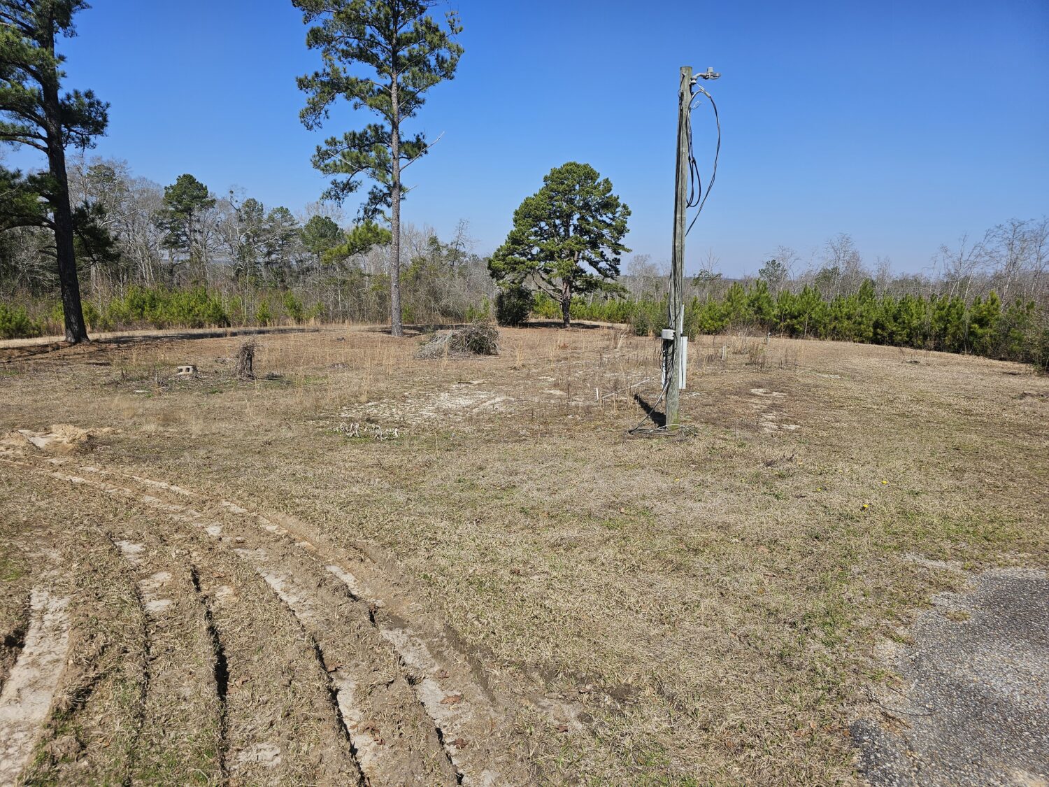 The Ariton Home Place Connell Landing Realty